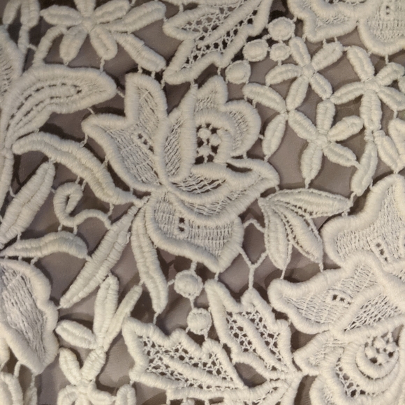 EUC Ellie Tahari Bennet Lace Skirt $398 Size 0 - Picture 14 of 14